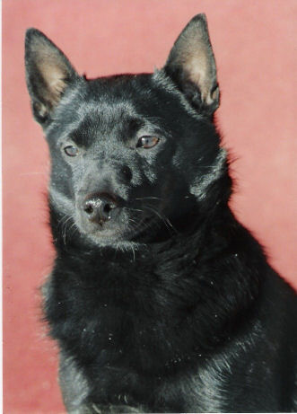 FIN MVA Aiken Elli-Elviira-