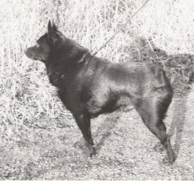 FIN_N CH FIN TVA Jimmy