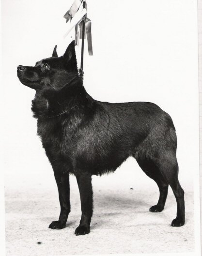 INT _ NORD CH Suojan Ketty