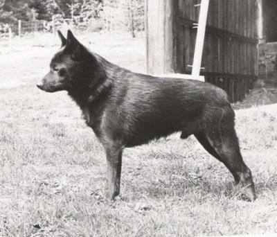 INT_NORD CH Dreda Doubl It 1972