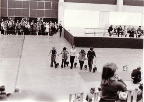 Kennel Suojan kasvattajaryhmässä BIS-kehässä Messukeskuksessa vuonna 1975.