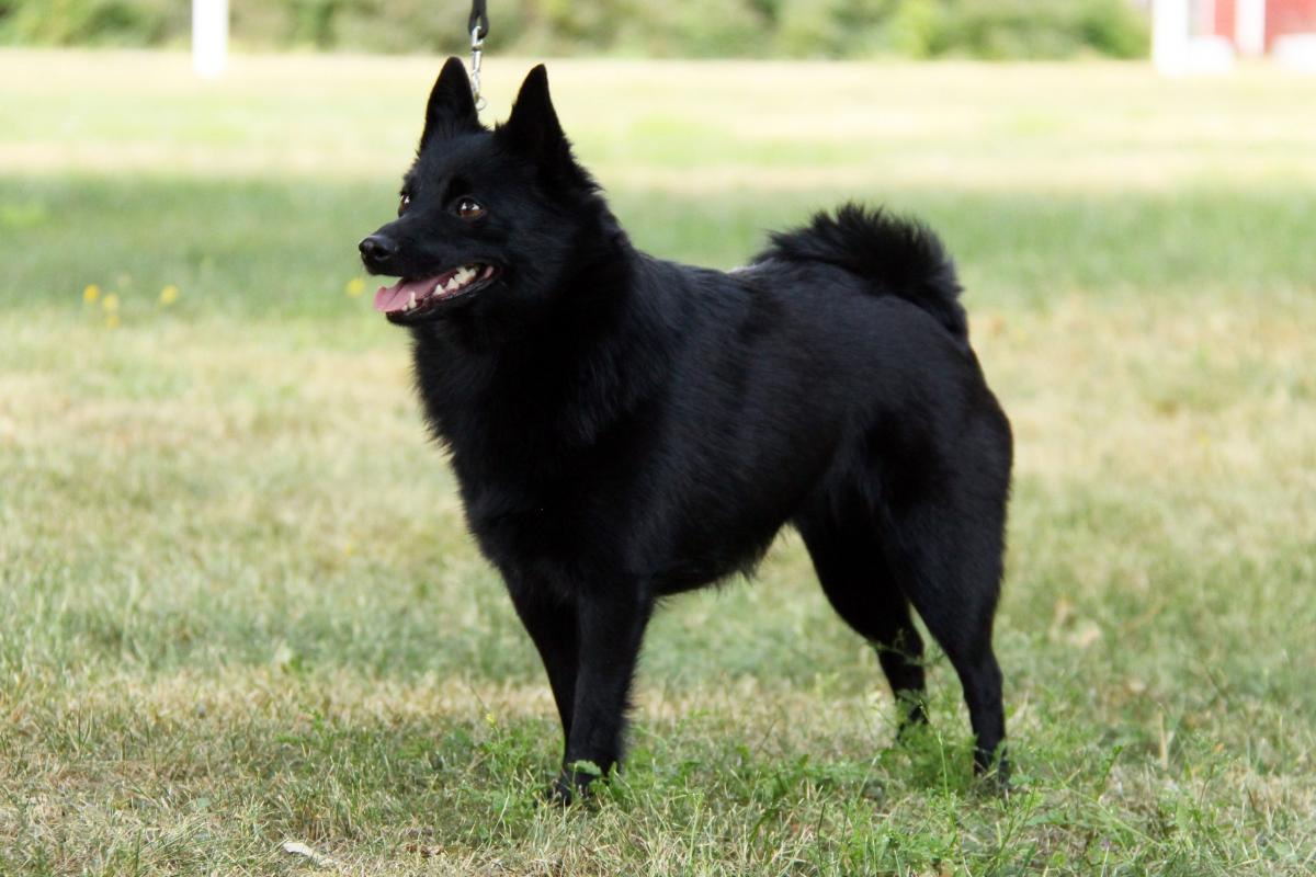 Mystinen Kiintotahti_kuvan ottanut Henriikka Toikka