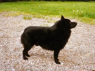 Remy Overture v.d. Welhaven